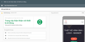 mobile friendly check