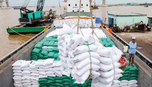 Dịch vụ xuất khẩu gạo tại Reconnect International có uy tín không?