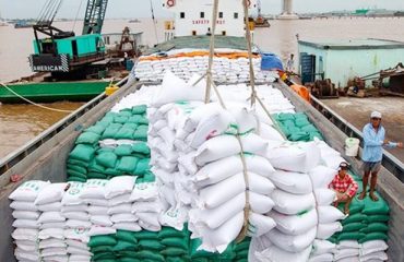Dịch vụ xuất khẩu gạo tại Reconnect International có uy tín không?