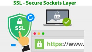 thuật ngữ trong thiết kế website ssl certificate