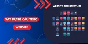Cấu trúc website là gì?