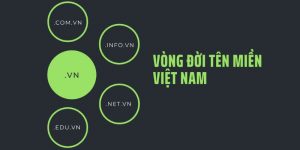 Tên miền Việt Nam là gì? Chi tiết vòng đời tên miền Việt Nam