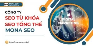 Công ty dịch vụ SEO chuyên nghiệp hàng đầu - Mona SEO