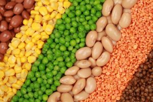 có nguy cơ mắc bệnh Alzheimer