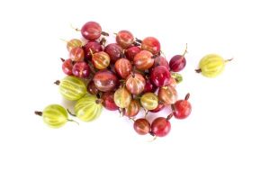 Thành phần trong quả nọng giúp các tế bào não hoạt động tốt hơn